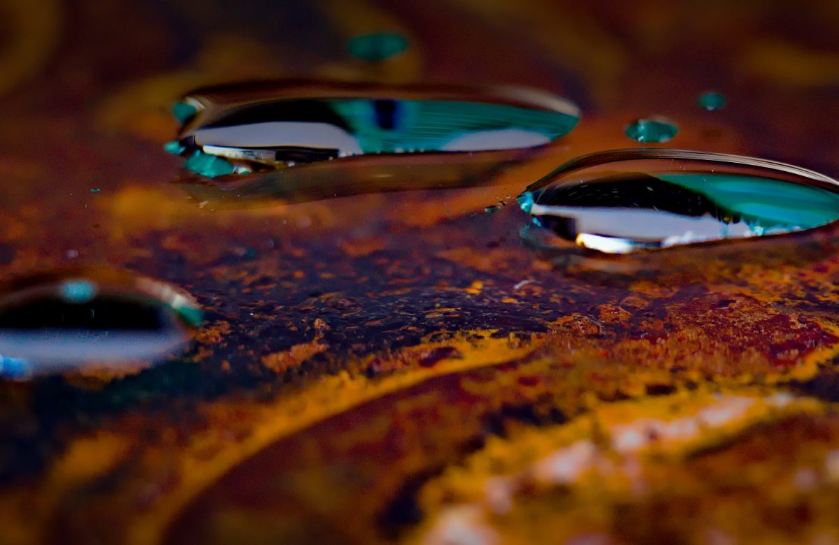 Cheminements bidplômants à l'INRS